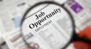 LPA Job Ad Disaster