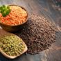 Lose Extra Fat Solution